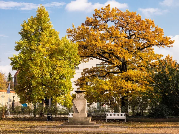 Autumnal colored leaves in Rostock — Stock Photo, Image