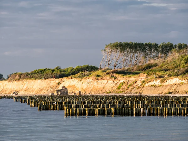 Groynes on the Baltic Sea coast — Stock Photo, Image