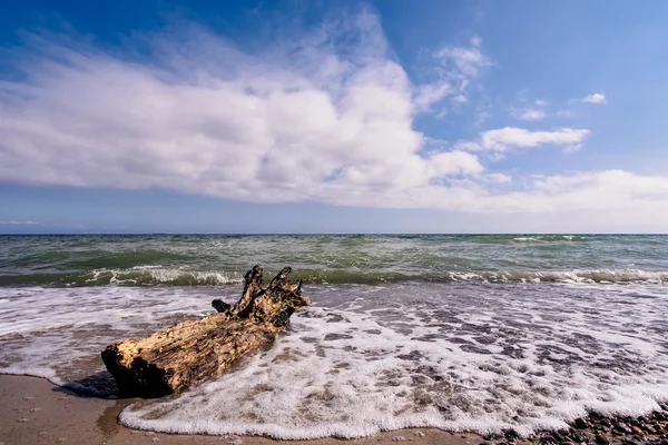 Bagagliaio sulla riva del Mar Baltico — Foto Stock