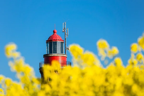 The lighthouse of Bastorf — Stock Photo, Image