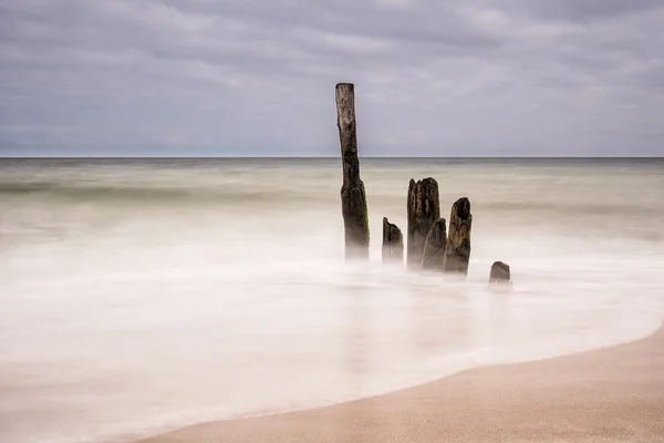 Groynes บนชายฝั่งของทะเลบอลติก — ภาพถ่ายสต็อก