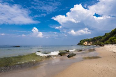 Baltık Denizi kıyısında buluntularını