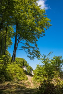 Tebeşir uçurum Adası şikayetler üzerinde