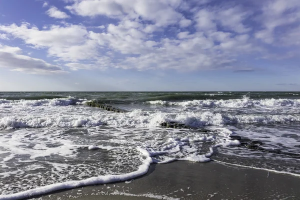 Groynes på stranden av Östersjön — Stockfoto