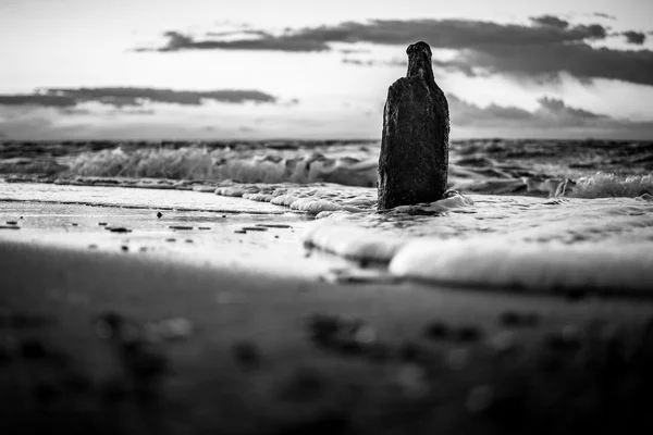 バルト海の海岸に groynes — ストック写真