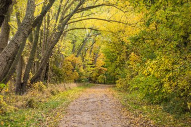 Sonbaharda renkli ağaçlar