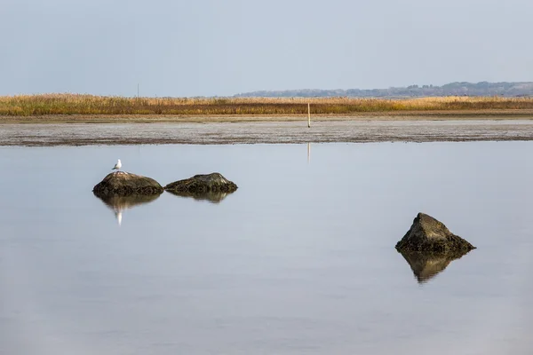 Steine am Ufer der Ostsee — Stockfoto