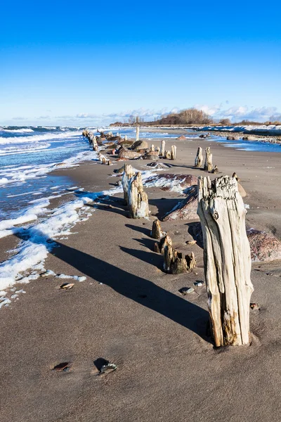 Groynes sulla riva del Mar Baltico — Foto Stock