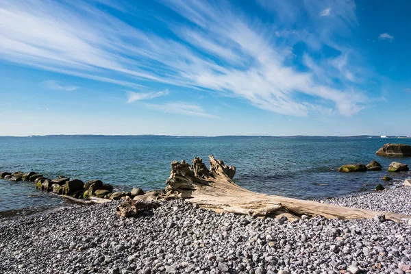 Costa del Mar Báltico — Foto de Stock