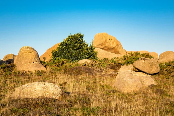 Rocks in the Brittany — Stock Photo, Image