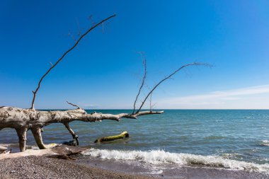 Baltık Denizi kıyısında ada şikayetler