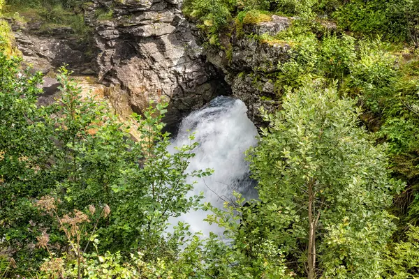 Landskap med cascade och träd i Norge — Stockfoto