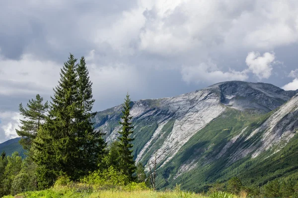 Landschap met bergen en bomen in Noorwegen — Stockfoto