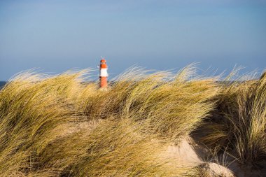 Dune on the Baltic Sea coast clipart