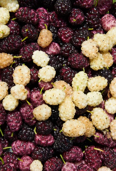 Background made with mulberry heap — Stock Photo, Image
