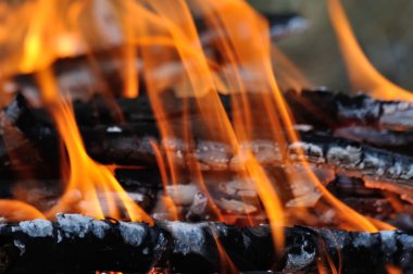 ateş kırmızı dilleri