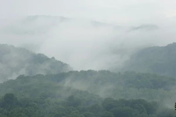 Bulutlu dağ manzarası