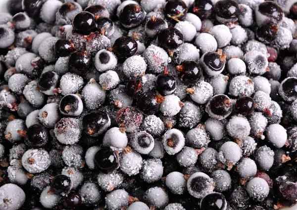 Heap of frozen black currant as background — Stock Photo, Image