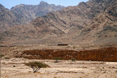 Jordan ıssız dağlarda tren