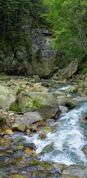 Hegyi folyó — Stock Fotó