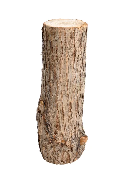 Vrba log izolované — Stock fotografie