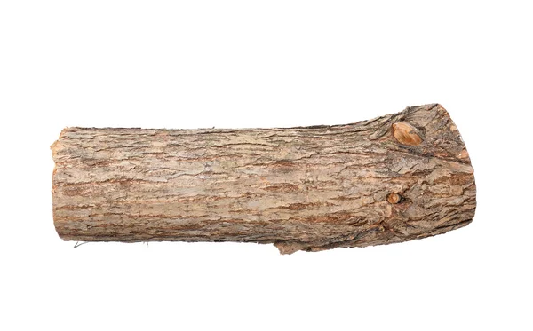 Willow log isolated — Stock Photo, Image