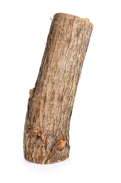 Willow log geïsoleerd — Stockfoto