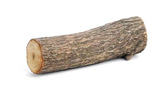 Willow log geïsoleerd — Stockfoto