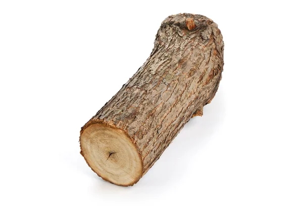Willow log isolated — Stock Photo, Image