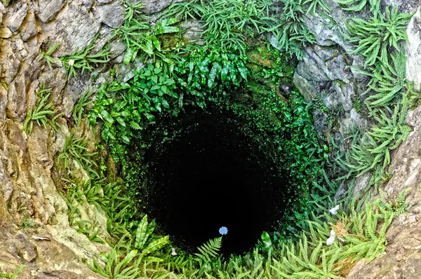Deep well with grass on stone walls — Stock Image Deep well with grass on stone walls Royalty Free Stock Photos