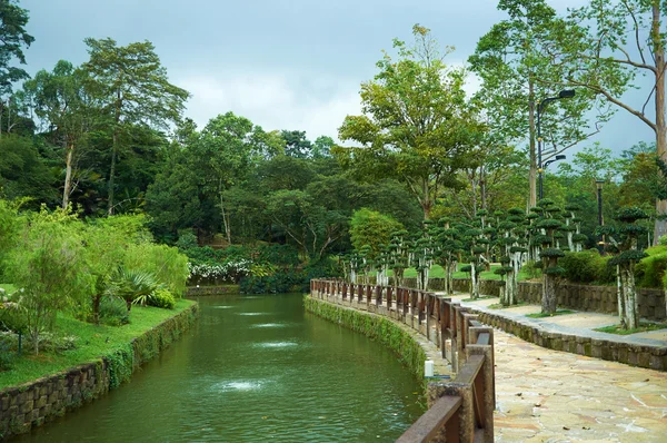 Park with river and decorative trees — Stock Photo, Image