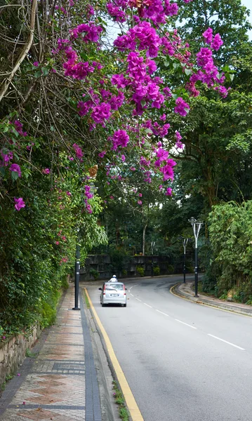 General road in Malaysia — Stock Photo, Image