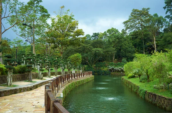 Park with river and decorative trees — Stock Photo, Image