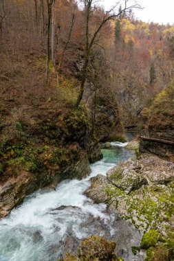 Vintgar Boğazı. Slovenya 'da doğa tarafından yapılmış en güzel yerlerden biri. Radovna Nehri, Triglav Ulusal Parkı 'nda etkileyici manzaralar yaratır..