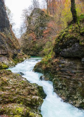 Vintgar Boğazı. Slovenya 'da doğa tarafından yapılmış en güzel yerlerden biri. Radovna Nehri, Triglav Ulusal Parkı 'nda etkileyici manzaralar yaratır..