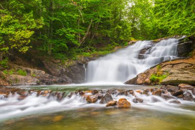 Kuluçka çıkım Falls Muskoka