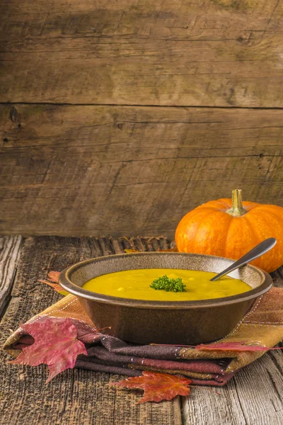 Sopa de calabaza abundante —  Fotos de Stock