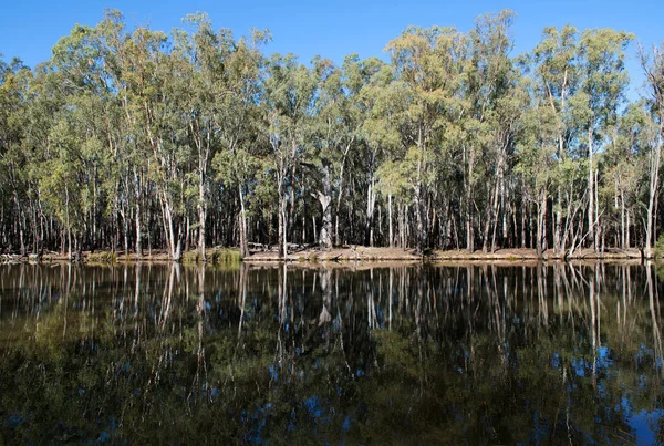 ニューサウスウェールズ州のLeeton近くのGogeldrie Weir Scene ストックフォト