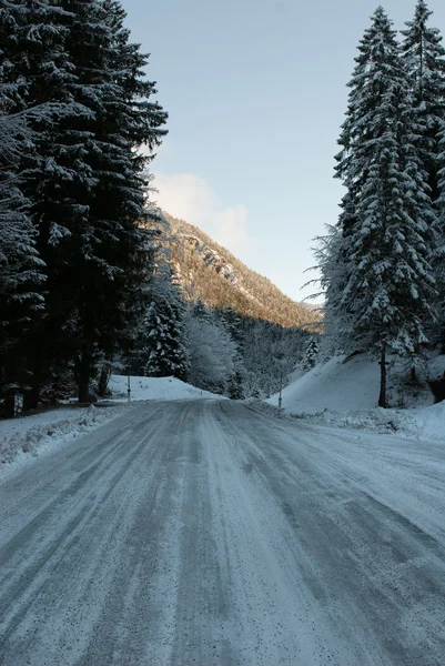 Buzlu yol, Avusturya — Stok fotoğraf