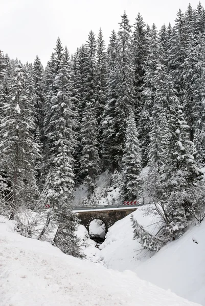 Mountain Road, Áustria — Fotografia de Stock