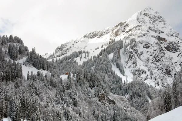 Alpine scène, Oostenrijk — Stockfoto