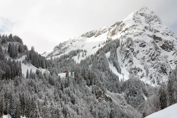 Alpské scéna, Rakousko — Stock fotografie