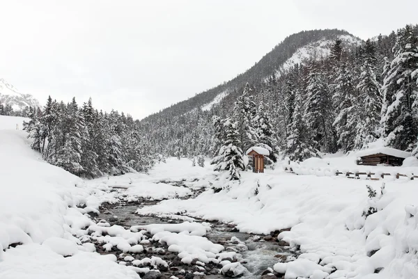 Ruscello Alpino, Parco Nazionale Svizzero — Foto Stock