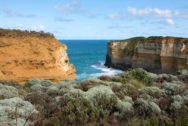 Southern Victoria Coastline, Australia clipart