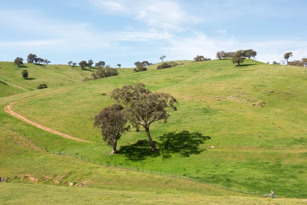 Rural Farmland, Southern New South Wales, Austrália — Fotografia de Stock