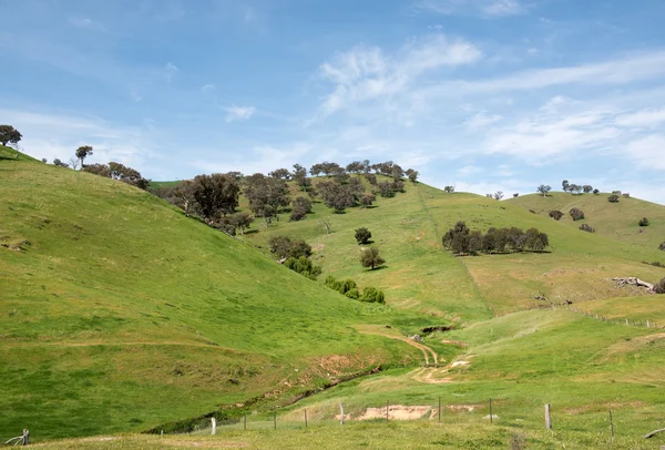 Terres agricoles rurales, dans le sud de la Nouvelle-Galles du Sud, Australie — Photo