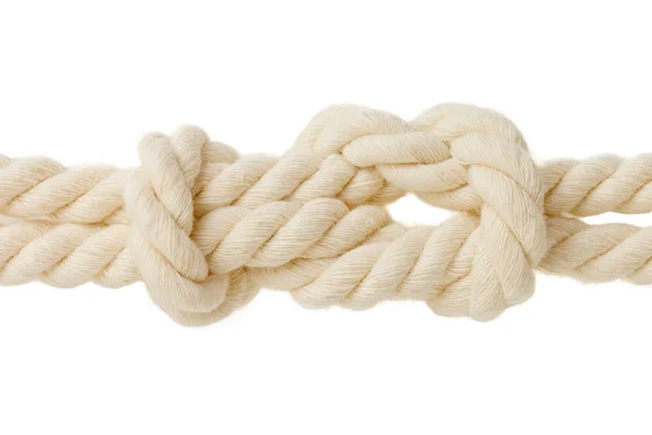 Academic knot. isolated on white background — Stock Photo, Image
