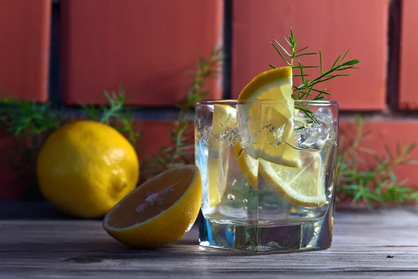 Gin con limone e ramo di ginepro — Foto Stock