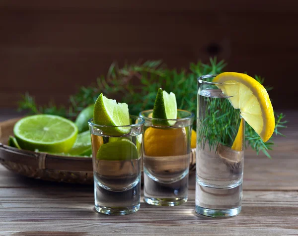 Gin und Tequila mit Zitrusfrüchten — Stockfoto