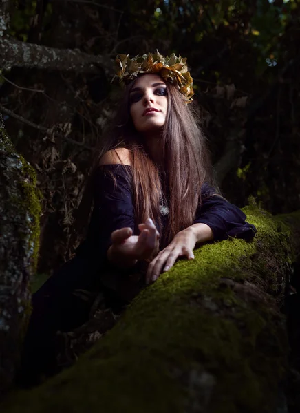 Sorcière dans la forêt sombre — Photo